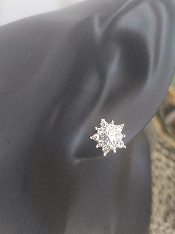 Snowflake Earrings